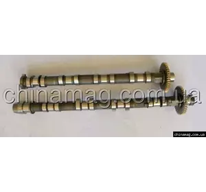 Вал распределительный впускных клапанов Great Wall Haval H5 Wingle5 4D20, 1006100-ED01, Great Wall Hover, Haval H3/H5 Вал распределительный впускных клапанов Great Wall Haval H5 Wingle5 4D20, 1006100-ED01, Great Wall Hover, Haval H3/H5