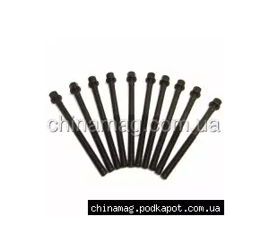 Болт головки блока цилиндров Chery Amulet, 480-1003082 PAYEN Болт головки блока цилиндров Chery Amulet, 480-1003082 PAYEN