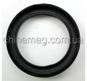 Сальник распредвала Great Wall Haval H5, 1003600-ED01 Elring Сальник распредвала Great Wall Haval H5, 1003600-ED01 Elring