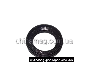 Сальник коробки (сальник полуоси) Chery Tiggo, QR523-1701203 Corteco Сальник коробки (сальник полуоси) Chery Tiggo, QR523-1701203 Corteco