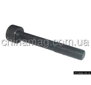Болт головки блока цилиндров Chery QQ, 372-1003051 Лицензия