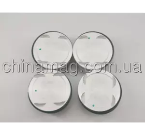 Поршня стандартные 1.8 MG 6, LFL000990 Лицензия Поршня стандартные 1.8 MG 6, LFL000990 Лицензия