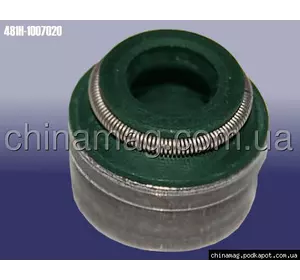 Сальники клапанов 16шт Chery Elara, Chery Eastar 2.0 481H-1007020 KIMIKO Сальники клапанов 16шт Chery Elara, Chery Eastar 2.0 481H-1007020 KIMIKO
