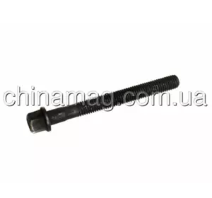 Болт головки блока цилиндров Chery Tiggo 2, D4G15B-1003082 SHINO