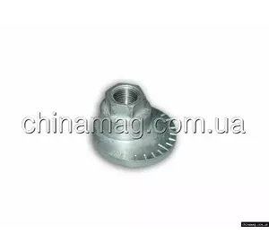 Гайка болта развала Chery Tiggo, T11-2919031 Лицензия Гайка болта развала Chery Tiggo, T11-2919031 Лицензия