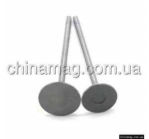 Клапан впускной 4D20 Great Wall Haval H5, 1007011-ED01 Лицензия Клапан впускной 4D20 Great Wall Haval H5, 1007011-ED01 Лицензия