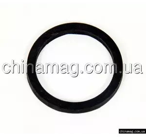 Прокладка термостата Chery Amulet, 480-1306011 Лицензия Прокладка термостата Chery Amulet, 480-1306011 Лицензия