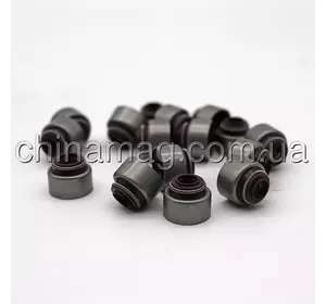 Сальник клапана Great Wall Haval H5, 1007100-ED01 Лицензия Сальник клапана Great Wall Haval H5, 1007100-ED01 Лицензия