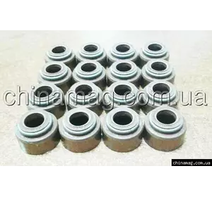 Сальники клапанов комплект Great Wall Voleex, 1007100-EG01 KLM Сальники клапанов комплект Great Wall Voleex, 1007100-EG01 KLM