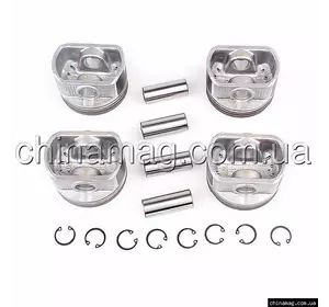 Поршня комплект STD Geely Emgrand EC-7/EC-7RV, 1136000062 NPM Поршня комплект STD Geely Emgrand EC-7/EC-7RV, 1136000062 NPM